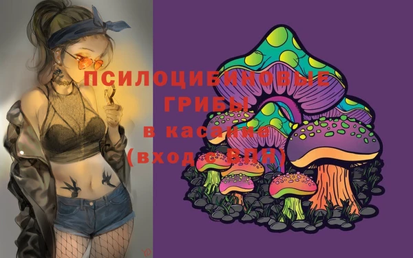 не бодяженный Алзамай