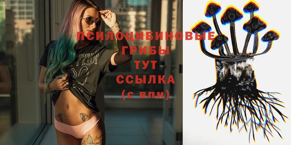 эйфоретик Алексеевка