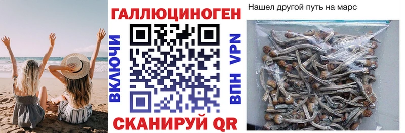 Галлюциногенные грибы мухоморы  кракен онион  Анапа 